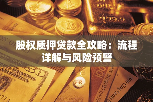 武汉股权质押贷款全攻略：流程详解与风险预警