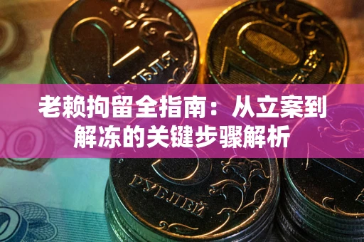 武汉老赖拘留全指南：从立案到解冻的关键步骤解析