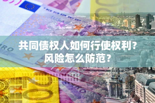 武汉共同债权人如何行使权利？风险怎么防范？