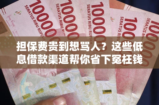 武汉担保费贵到想骂人？这些低息借款渠道帮你省下冤枉钱