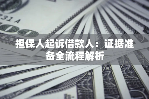 武汉担保人起诉借款人：证据准备全流程解析