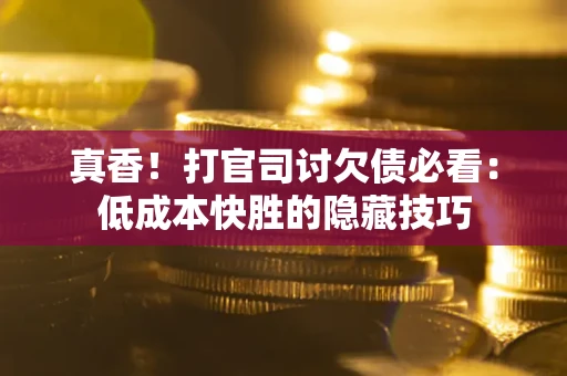 武汉真香！打官司讨欠债必看：低成本快胜的隐藏技巧