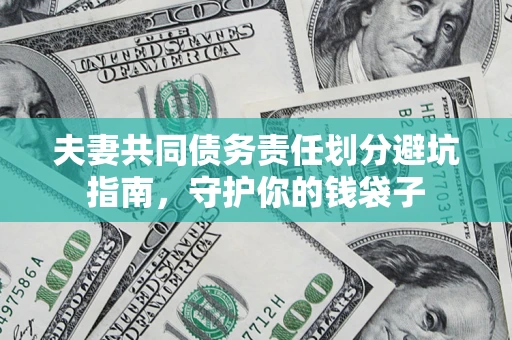 武汉夫妻共同债务责任划分避坑指南，守护你的钱袋子