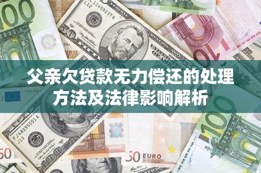 武汉父亲欠贷款无力偿还的处理方法及法律影响解析