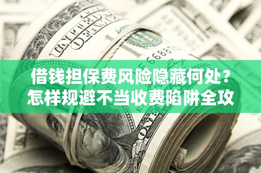 武汉借钱担保费风险隐藏何处？怎样规避不当收费陷阱全攻略！