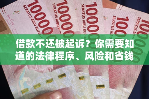 武汉借款不还被起诉？你需要知道的法律程序、风险和省钱技巧