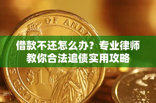 武汉借款不还怎么办？专业律师教你合法追债实用攻略